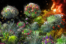 Garden design:HAPPY NEW YEAR !