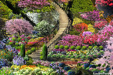 Garden design: There are many times in your life when you could go at the top of a staircase and see a breathtaking garden, or go through a old wooded area, come into a mysterious unexplexplained fantasy land, full of will flowers, brooks, small waterfalls and endless wonders. But to leave a paradise at the bottom with a pond, and small bridge that crosses to more beauty, and only climb a long winding staircase and have your breath leave you in endless bliss in whatever you chose to see at the end....well. Garden design:Stairway from Paradise to Bliss