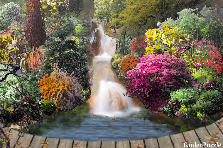 Garden design:Small Waterfall