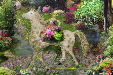 Garden design:Princess of spring's kingdom.