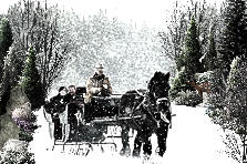 Garden design:Sleigh ride!