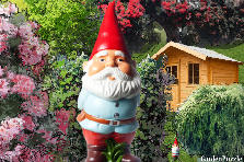 Garden design:gnome tells ....