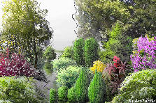 Garden design:lost my house