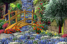 Garden design:Flowerfall