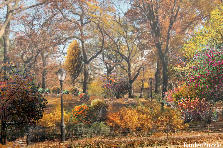 Garden design:Central Park