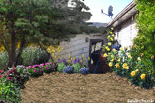 Garden design:Dodge St