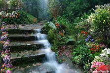 Garden design:The Old Brook Staircase
