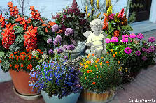 Garden design:Carlas Corner