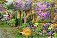 Garden design: This old stone house that was left run down and abandoned, was a find by accident. The treasures and history behind it, made it a keep sake to restore. It had overgrown lush gardens, that I cleaned up, and replanted. I kept much of it's origional structure as possible. Spring has come, and it is a joy to show this old gem, to friends near and far, and share mysterious stories, inside the deep woods, that welcomes all. Garden design:This Old Stone House