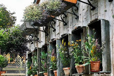 Garden design:Old Barn With Make Shift planters