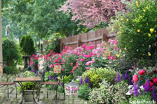 Garden design: Garden design:Quaint private Garden Bistro