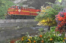 Garden design:Train Trip