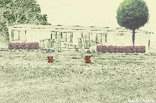 Garden design:Front 1