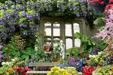 Garden design: This old mansion ruins left behind its legacy of beauty. The lush wild overgrown garden in it's back yard surrounding a parlor window, an old statue that used to harbor a lovely fountain, and the remenants of an old bench, overgrown by shrubs, leaves a breath of beauty untouched. If you look close you can see a weathered flower pot on the sill with grown over flowers in it. The many vines, trees, shrubs, and flowers, leave fragrances that you won't soon forget. Sit on the bench and take it Garden design:Old Ruins Wild Garden