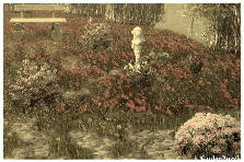 Garden design:Buen sábado (mañana:))