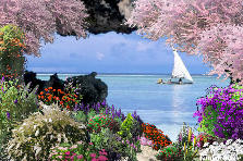 Garden design:on the beach