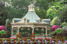 Garden design:for my friends