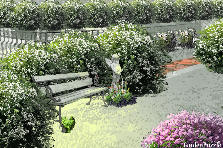 Garden design:Corazón abandonado en el parque.