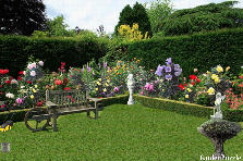 Garden design:jardin pequeño