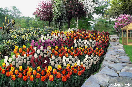 Gardenpuzzle Project Tulip S Gardenpuzzle Project Tulip S