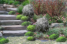 Cottage Garden Stone Path - GardenPuzzle - online garden planning tool