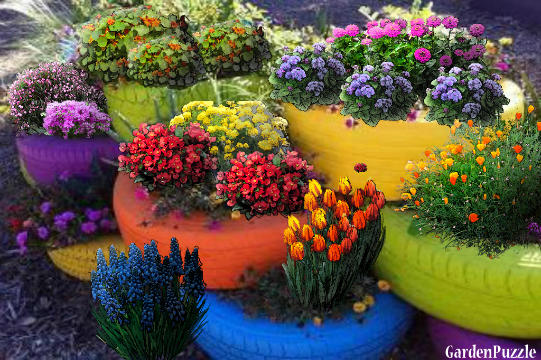 Tire planters - GardenPuzzle - online garden planning tool Tire planters - GardenPuzzle - online garden planning tool on Tyre Garden Design
 id=43804