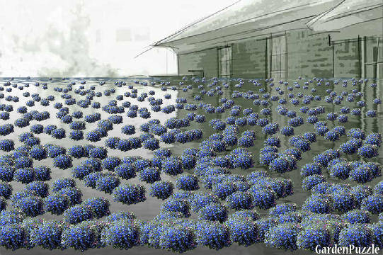 Garden idea - 홍수와 꽃